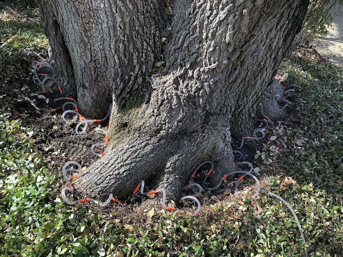 Detailed Shrub and Hedge Trimming job site in Hamersville